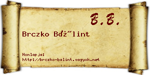 Brczko Bálint névjegykártya